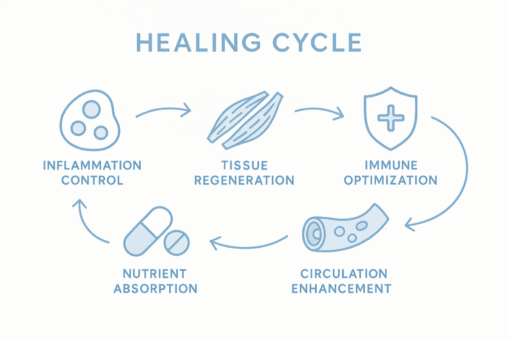 HSL Labs Healing Acceleration Formula™ – Therapy Plan Phase One - Image 6